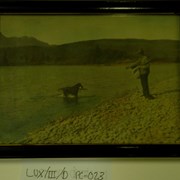 Cover image of [Hunting, unidentified man with dog retrieving bird]